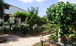 sunrise apartments room 2